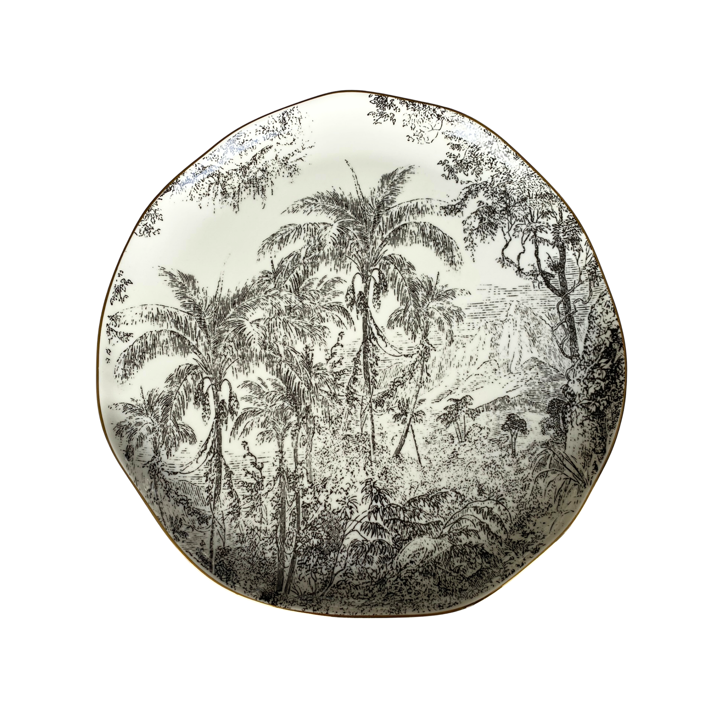 Plato Principal Rain Forest