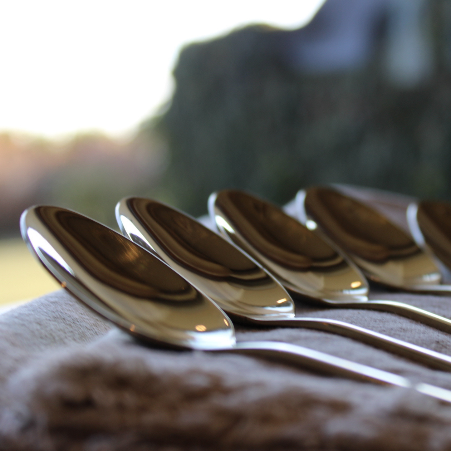 Set 6 cucharas de Té
