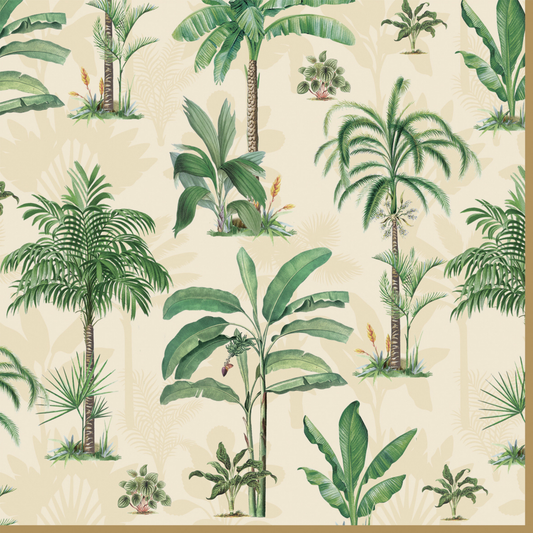 Servilletas de papel Oasis - 20 unidades
